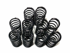 1.35 Small Bore Rated Springs (Standard and Heavy)