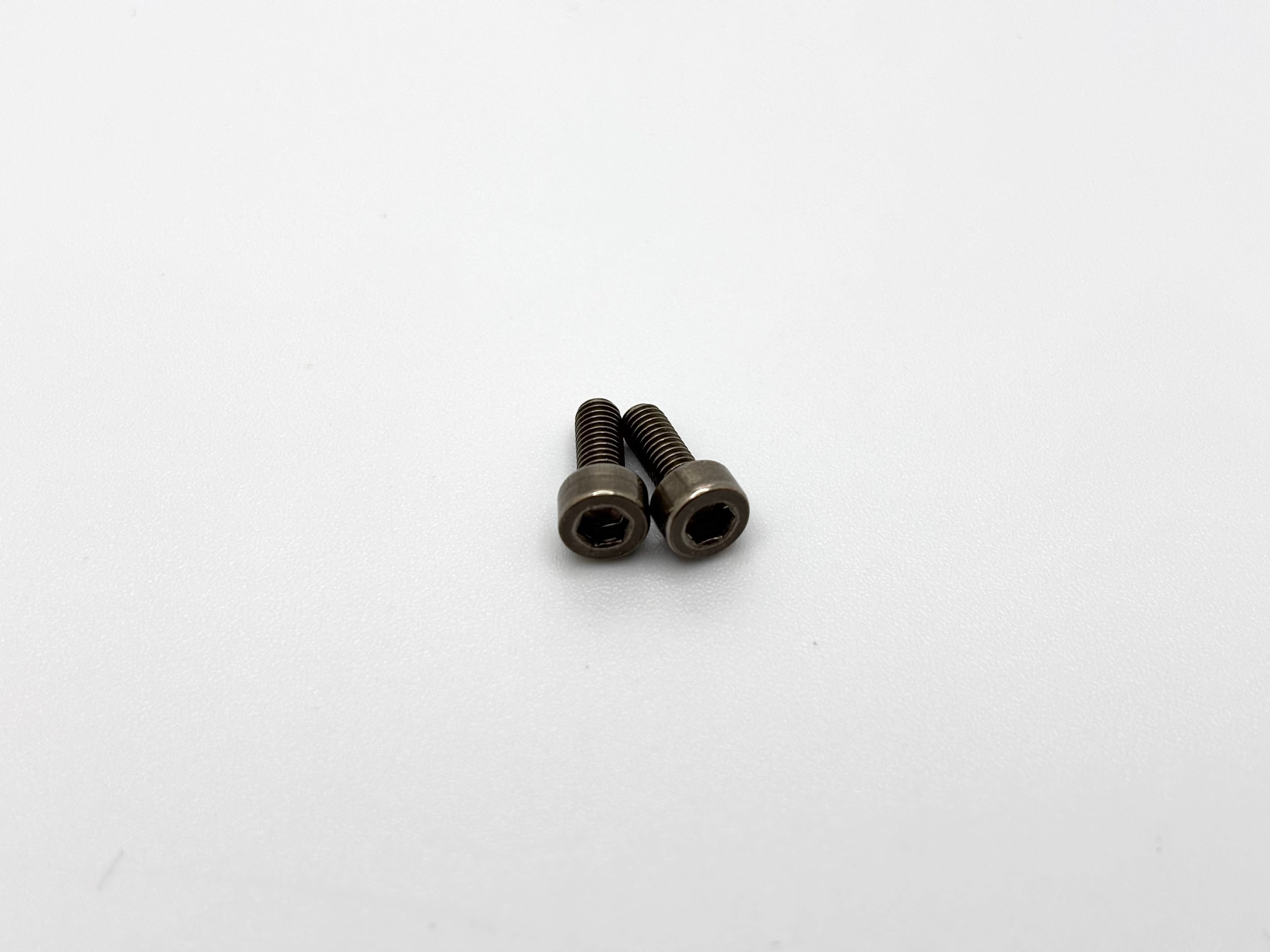 Lefthander RC M3 x 8mm Titanium Motor Caphead Screws (2), LH109