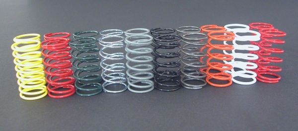 Custom Works RC 1.25 Shorty Springs