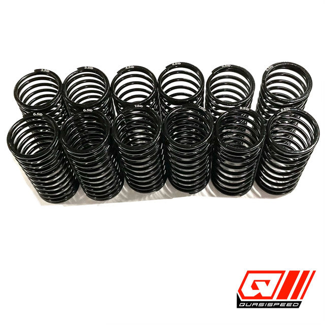 Team GFRP / Quasi Speed Big Bore Low Frequency Springs