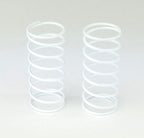 Custom Works RC Big Bore Springs