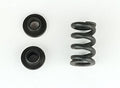 Custom Works Slipper Spring, CW-4487