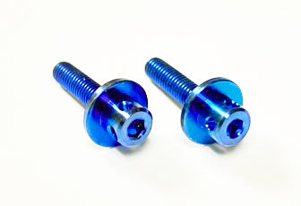 Custom Works Titanium Wing Mount Bolts (2)