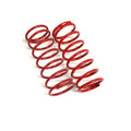 Muddslide Motorsports VCS Side Springs- 8lb RED