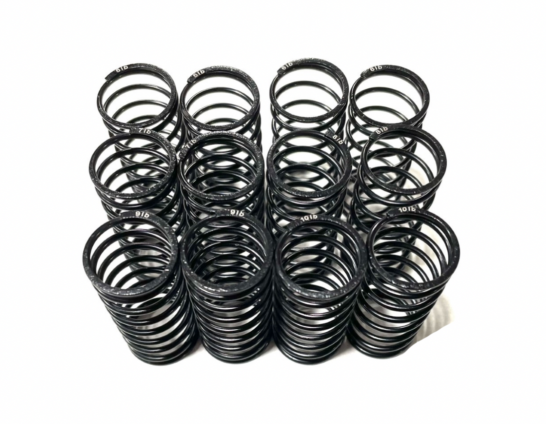 Team GFRP / Quasi Speed Big Bore Rated Springs
