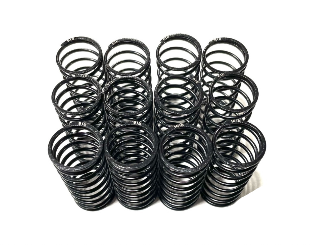 Team GFRP / Quasi Speed Big Bore Rated Springs