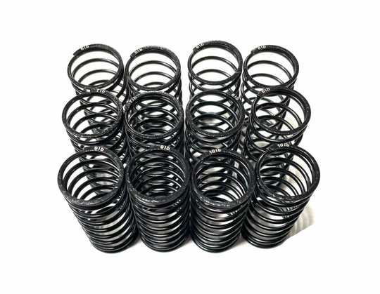 Team GFRP / Quasi Speed Big Bore Rated Springs
