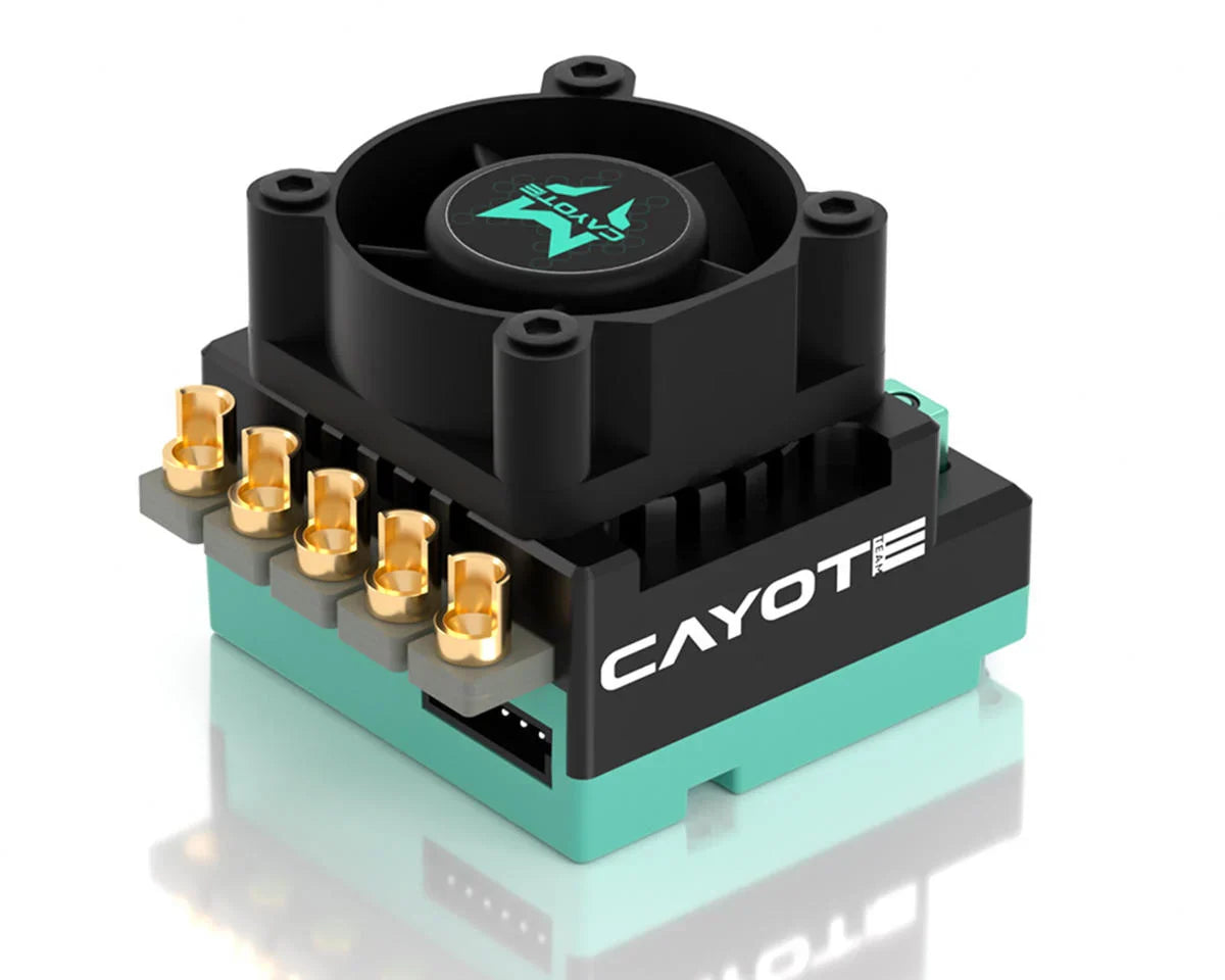 Cayote Crest RS80 1/10 Stock 80A Sensored Brushless Competition ESC, CYEA11003
