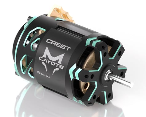 Cayote Crest Stocki 1/10 Brushless Competition Sensored Motor (13.5T), CYEB11011